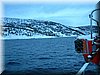 T640_Tysfjord050.JPG
